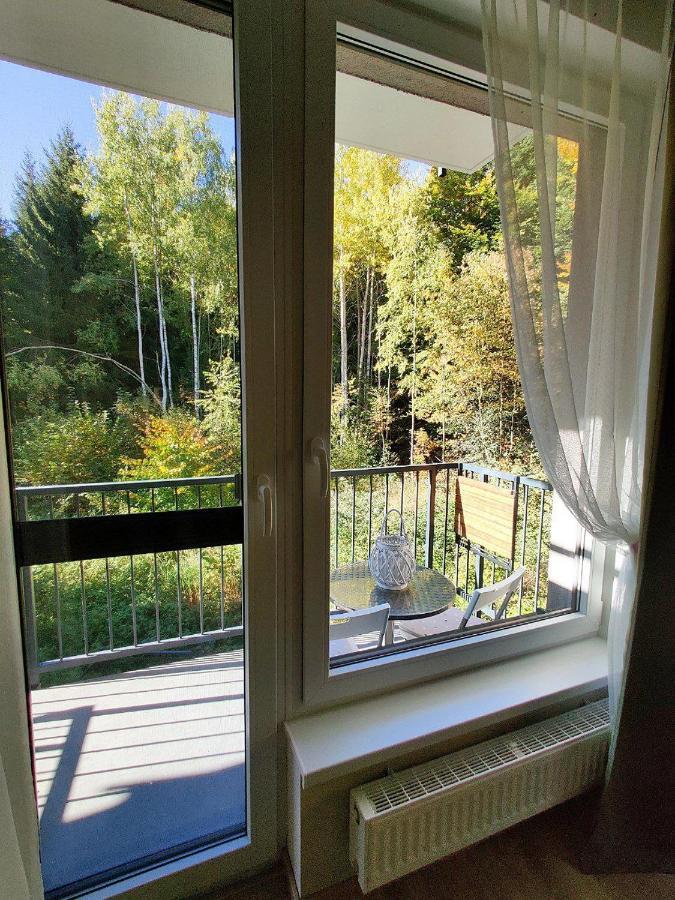 Apartment Grun Wald Маріанські Лазні Екстер'єр фото